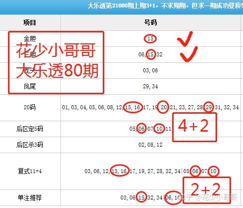 探索大乐透的奥秘，2元图与定位走势的深度解析