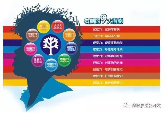 2021年20选5走势图，数字游戏中的策略与智慧