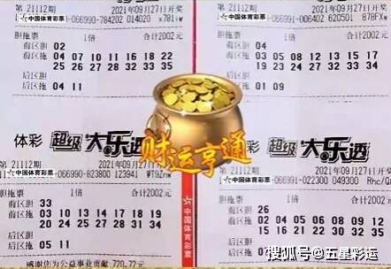今日大乐透晒票复式最新，梦想与现实的交织