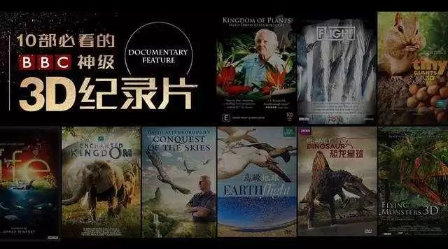 今日3D焰舞字谜汇总大全，解锁智慧与乐趣的双重盛宴