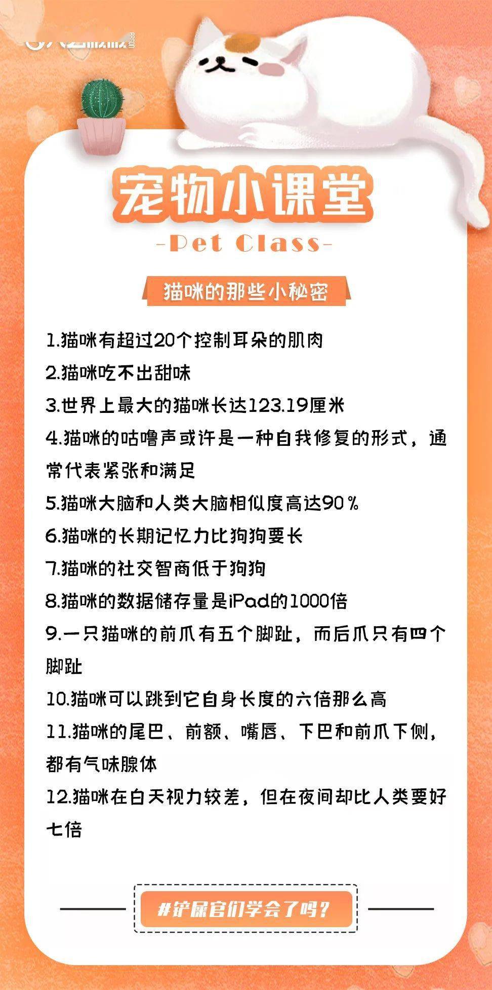 福彩小神童，独胆定位双飞术的奥秘