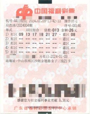 福利彩票2024004期，梦想与希望的交汇点