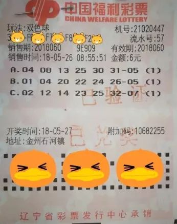 随机选号，双色球中的智慧与幸运