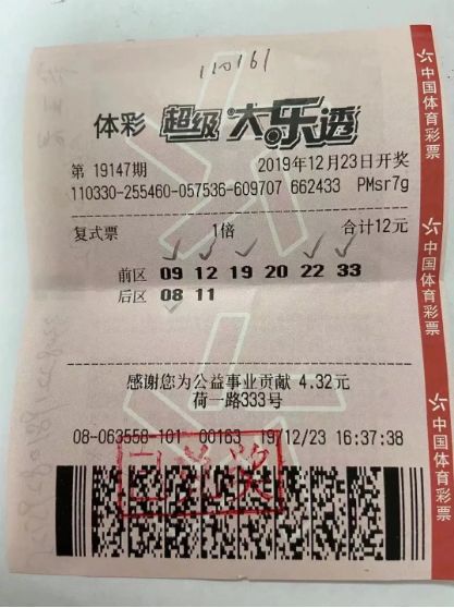 浙江大乐透走势图2风采网超长版，深度解析与投注策略