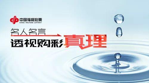 历史开奖记录表，透视彩票背后的数字与故事
