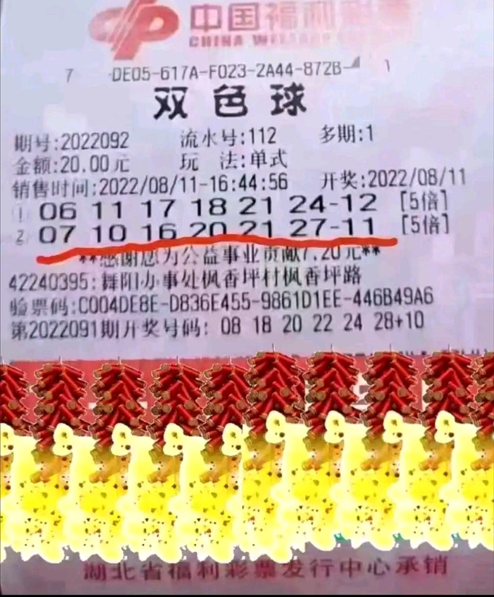 最新双色球开奖号码揭晓，梦想与幸运的碰撞