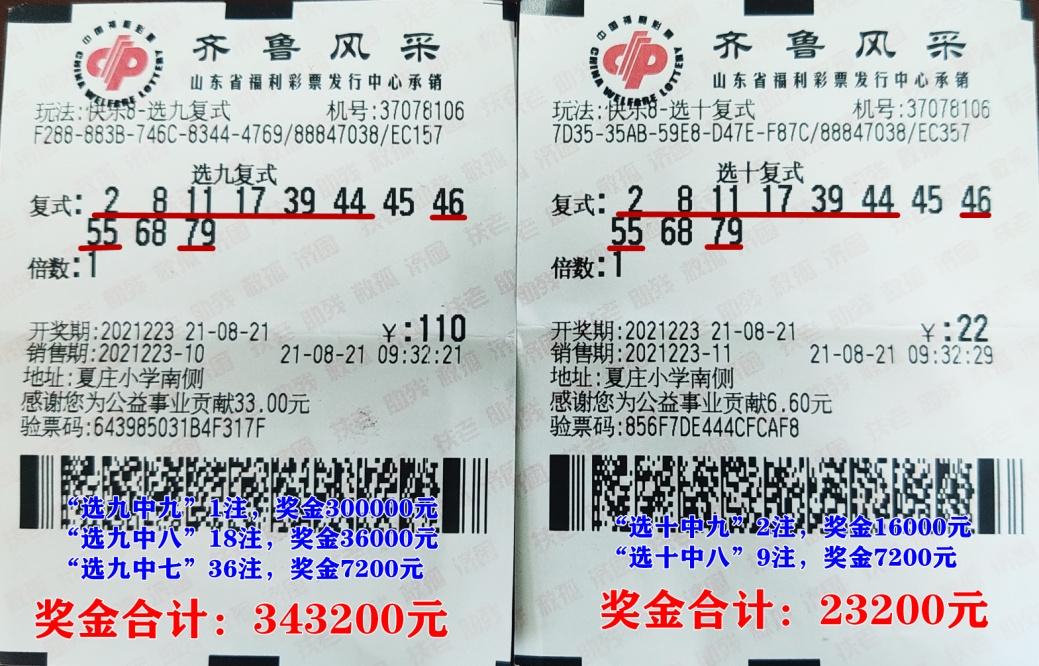体育彩票36选七，数字游戏中的智慧与乐趣
