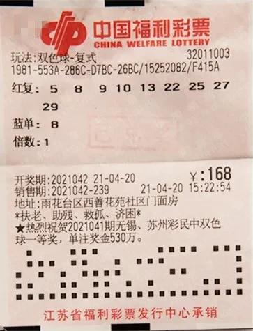 2009年双色球2009013期开奖结果揭晓，幸运数字背后的故事与期待