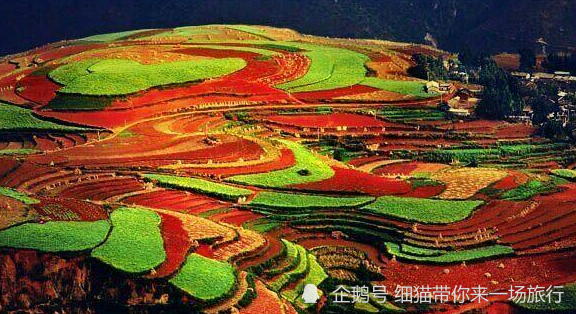 2046，管家婆一肖的独特魅力与未来展望管家婆1肖中特