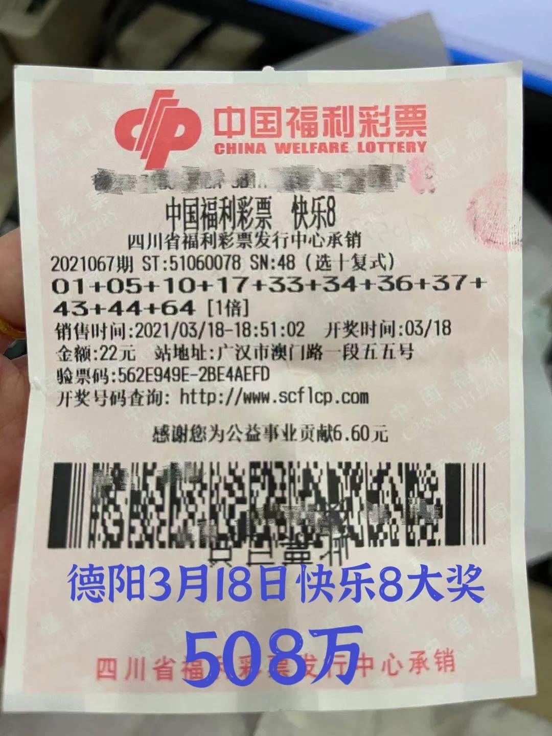 11选5上海，探索城市彩票文化的独特魅力