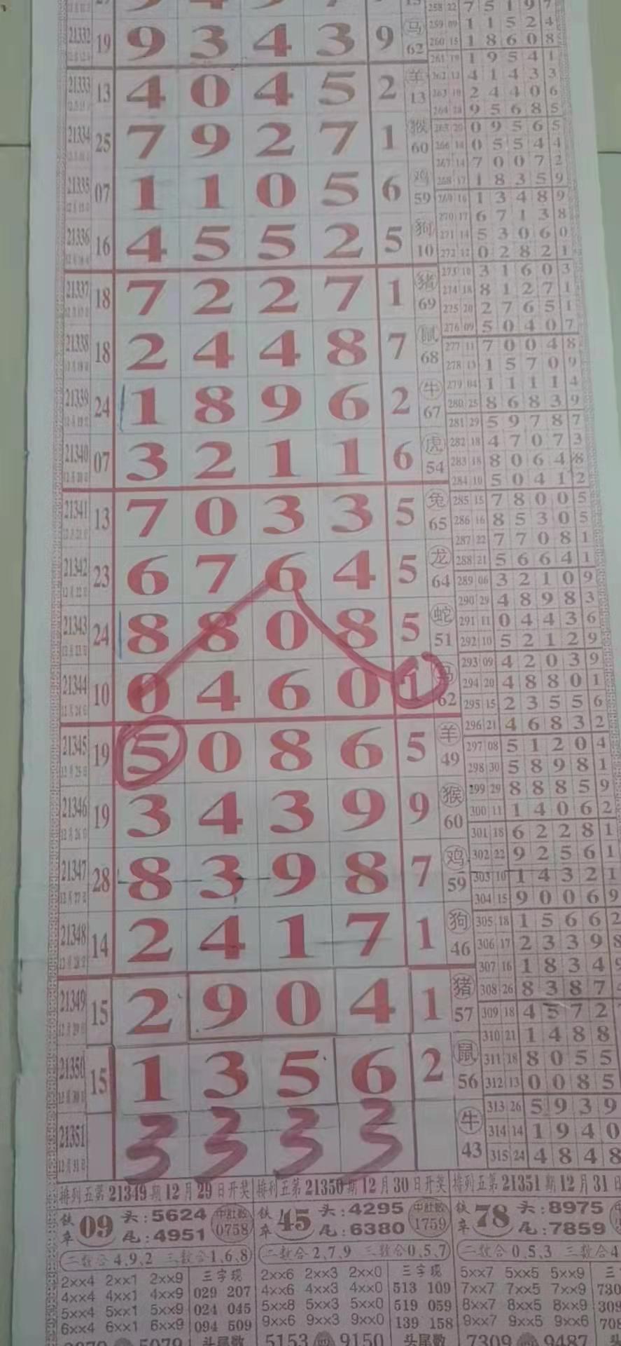 排列五预测，科学方法与理性分析的完美结合