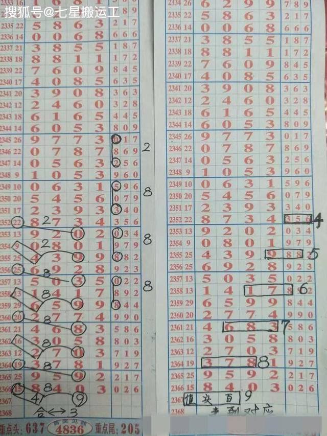 七星彩中3个号码，惊喜与规则的碰撞