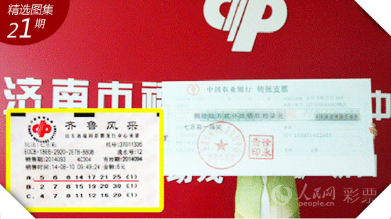浙江风采网走势图大全，大乐透的奥秘与魅力