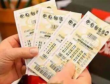 管家婆、王中王与开奖王的神秘世界，一场数字游戏的深度剖析