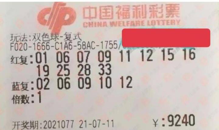 九点晒票，今日最新消息深度解析