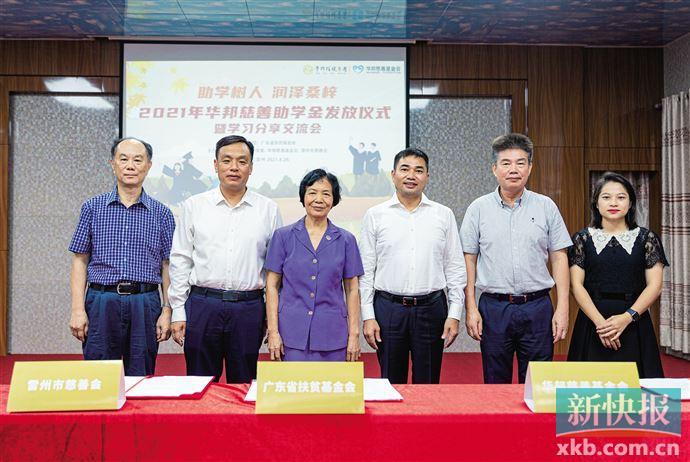 雷州梦册查询，探寻地方文化的神秘面纱