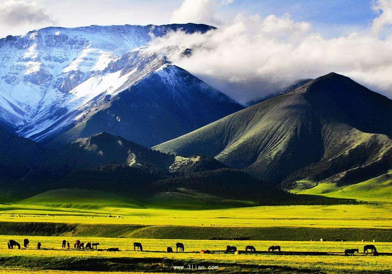 新疆旅游必去十大景点，探索西域的绝美风光与独特文化