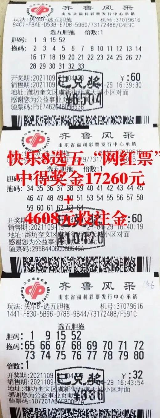 揭秘快乐8今晚专家预测，数字背后的智慧与概率艺术