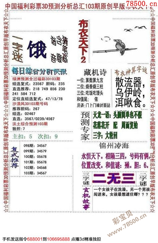 探索数字的奥秘，体彩排列五走势图综合版解析