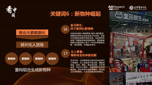 4298²金牛网论坛的数字密码与社区魅力42982金牛网论坛的优势