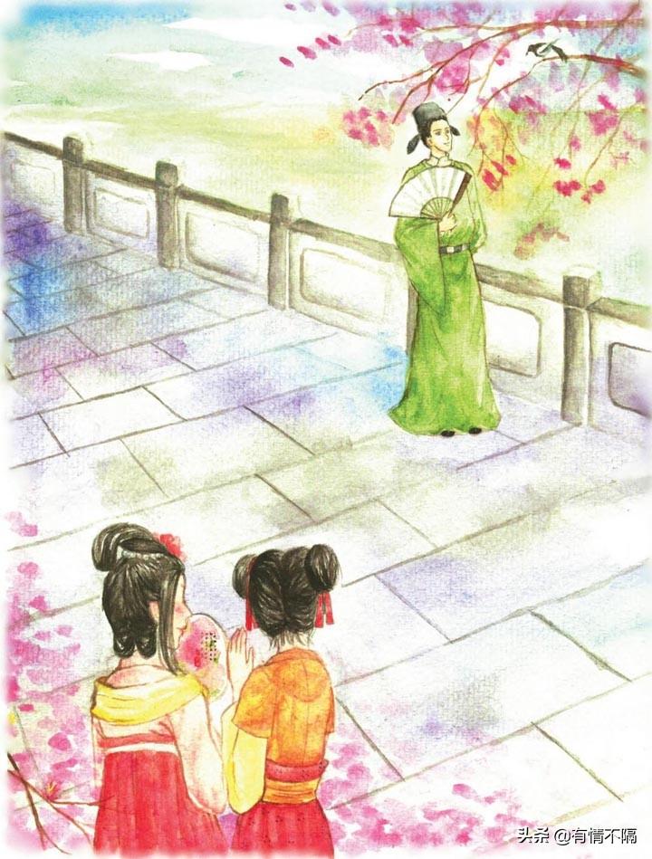 牛彩版布衣精选合辑汇总，今日更新，精彩不容错过