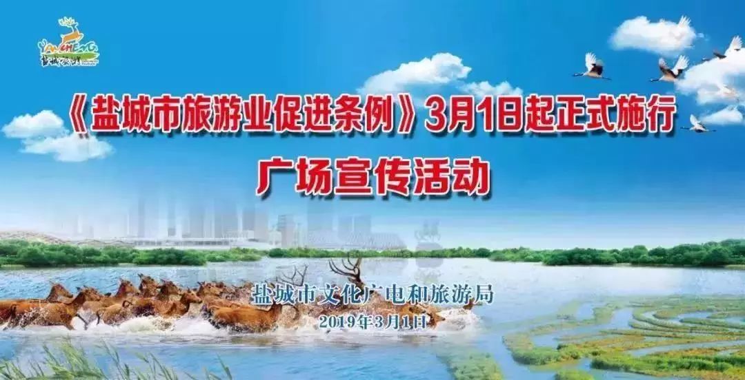 今期特马开奖结果2019，回顾与展望