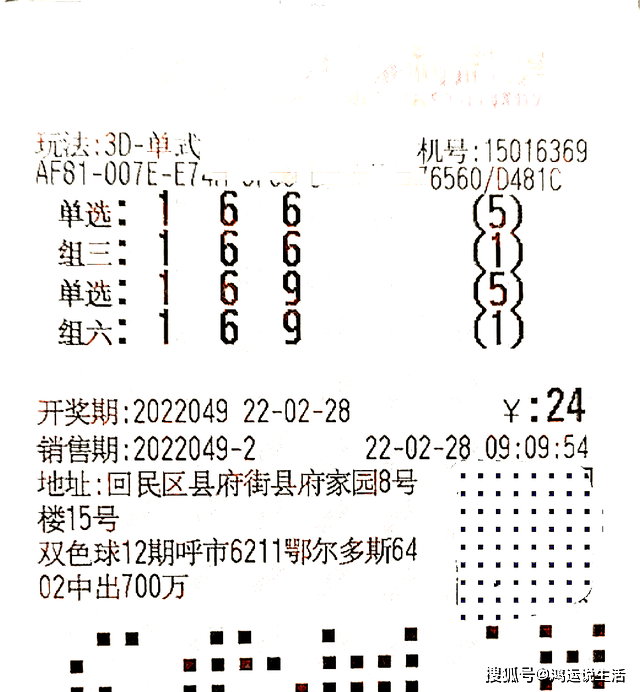 17500乐彩网排三，数字背后的幸运与智慧