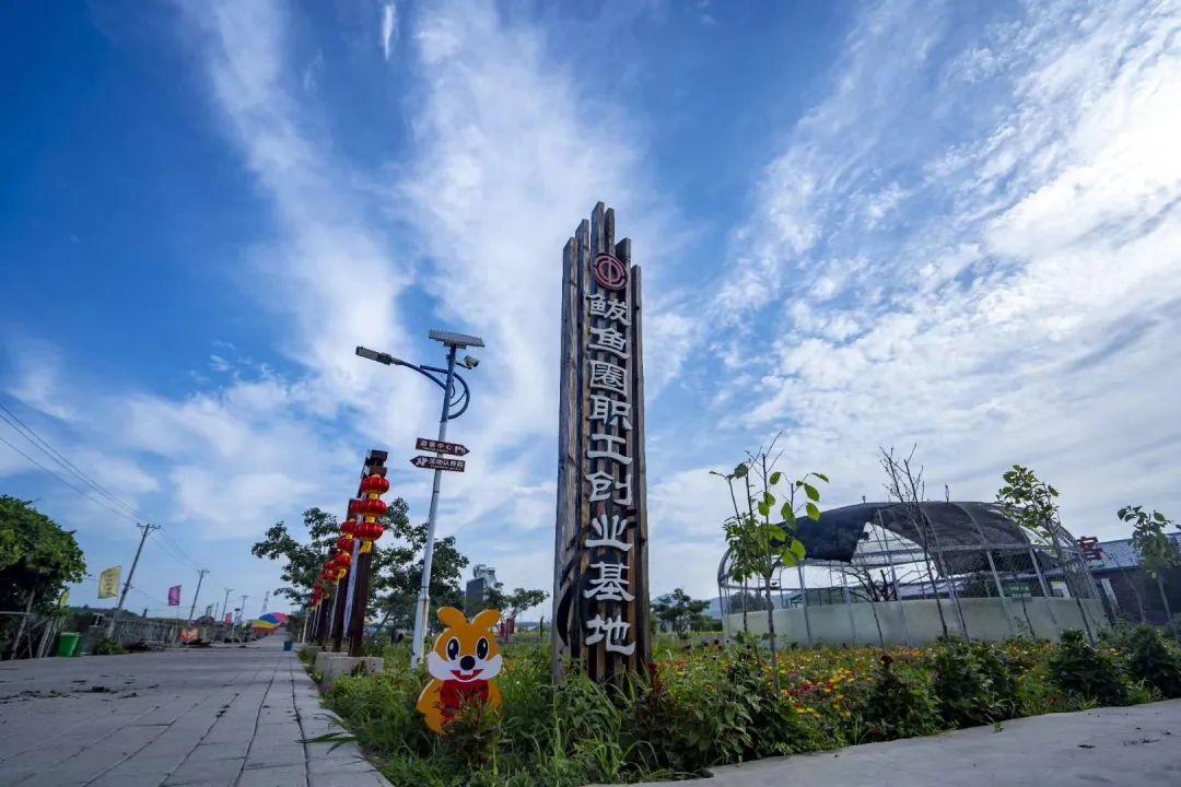 辽宁快乐12选五，探索地方彩票的独特魅力与文化现象