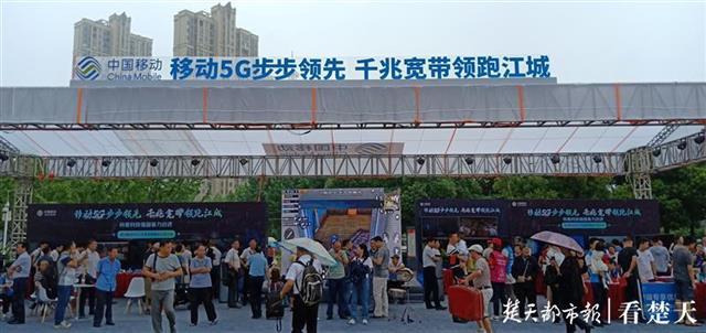 猜谜语大全及答案，智慧与趣味的碰撞