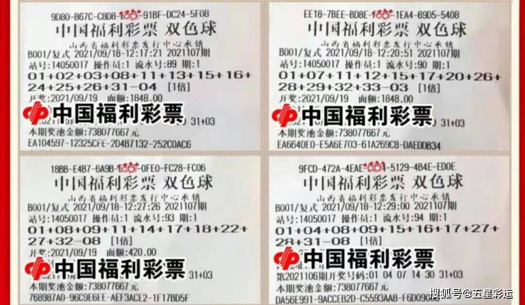 双色球50期开奖号回顾，数字背后的幸运与期待