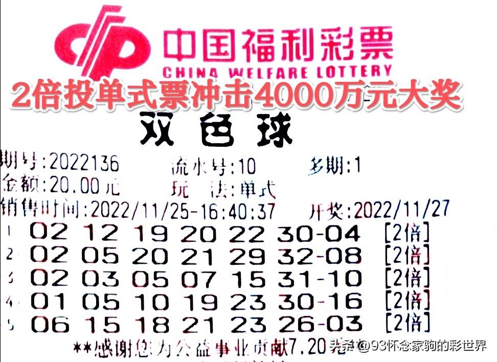 探索双色球近4000期的奇妙之旅，数字背后的秘密与玩家心声