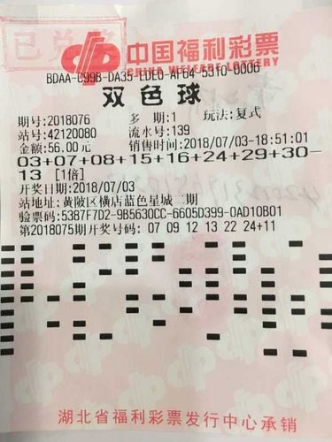 胆拖投注，解锁彩票中奖的智慧之门