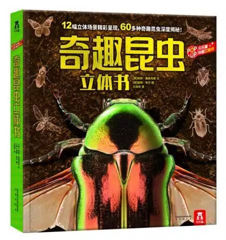 探索自然奇趣，红五图库与天牛图库的奇妙世界