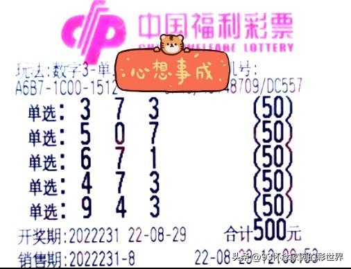 探索3D走势图，揭秘400期背后的数字奥秘
