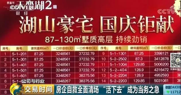 今日试机号后专家预测，揭秘彩票市场的数字玄机