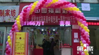 浙江省福利彩票一等奖兑奖中心，梦想照进现实的幸运之门