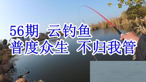 揭秘马后炮与太湖钓叟的奇妙结合，解字谜317的深度探索