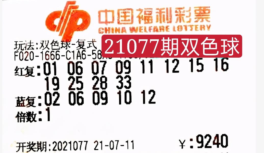 2023年南方双彩网，数字与梦想的交汇