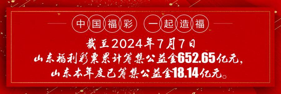 齐鲁风采双色球，2021085期开奖揭秘与彩民心声