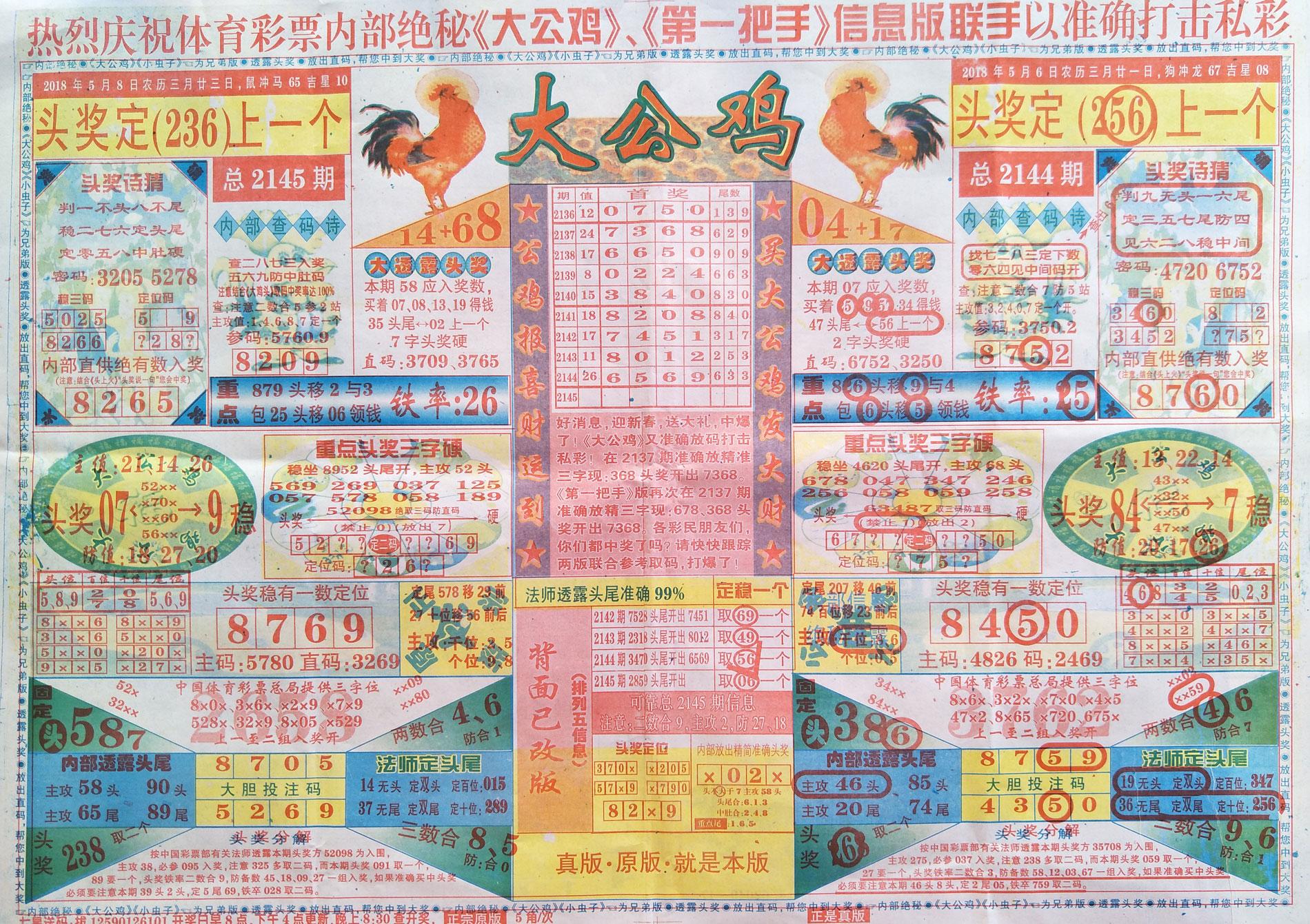 利民七呈彩论坛，汇聚智慧，共筑社区发展新篇章