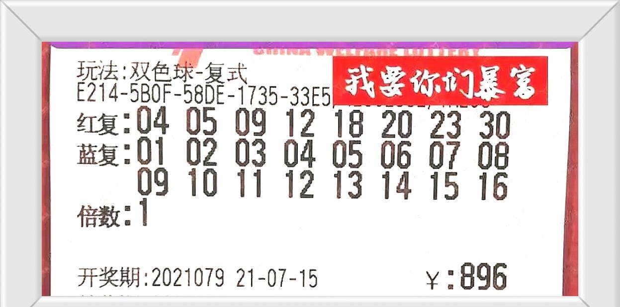 浙江省开奖查询，探索数字背后的幸运与希望