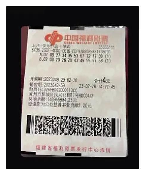 500万彩票网官方500，梦想与现实的交汇点