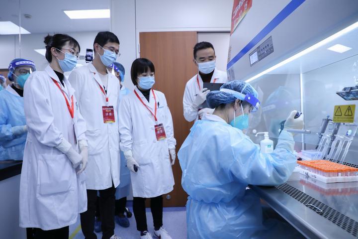 澳门最快最精准资料大全，揭秘赌场策略与技巧澳门最快最精准资料大全,争先恐后的动物是什么