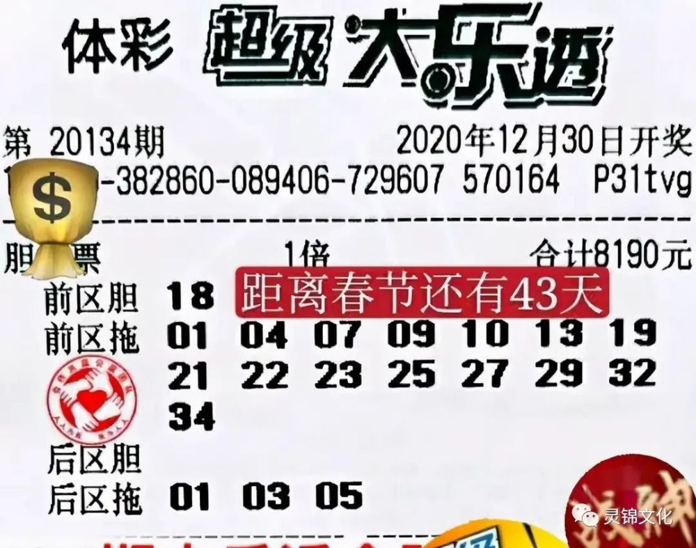 推荐号大乐透，理性与幸运的智慧碰撞