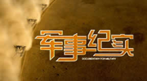第1113页