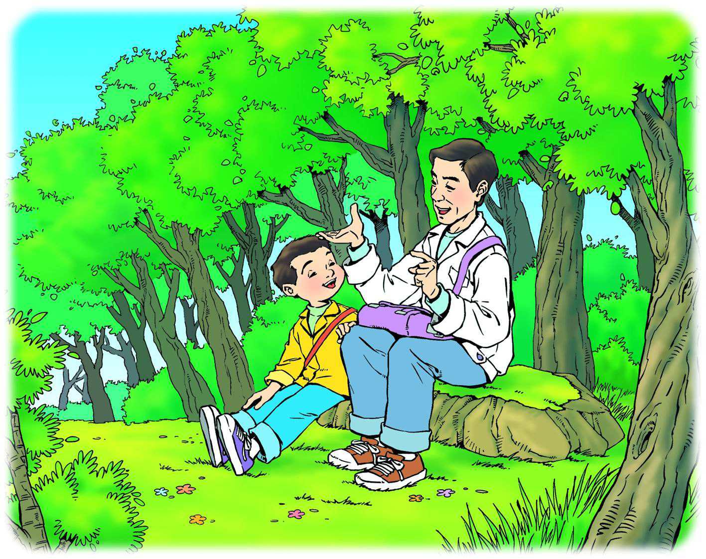 父亲、树林与鸟，一堂生动的自然教育课