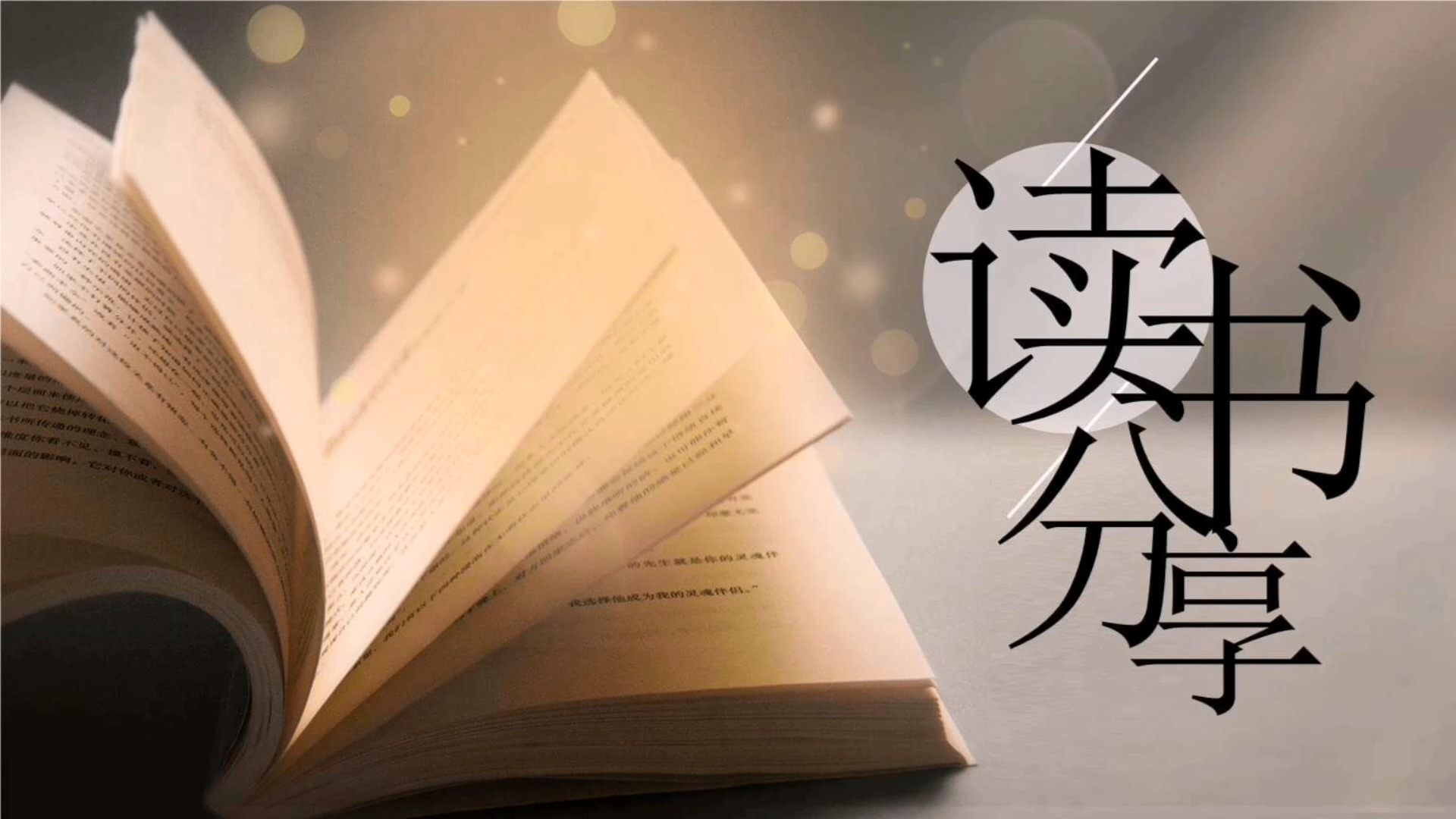 文学的万花筒，体裁的多样性与魅力