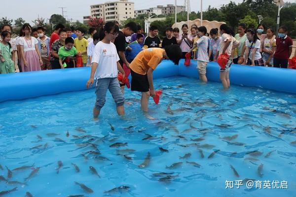 捉鱼教学的反思与启示