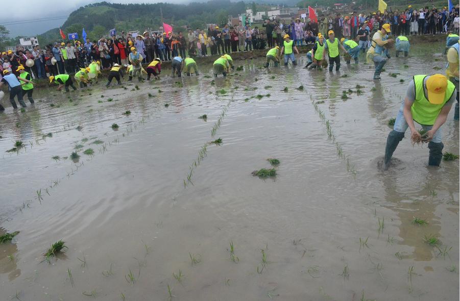 捉鱼商城，打造线上与线下融合的全新购物体验