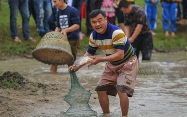 梦回水乡，捉鱼之梦的深层解析